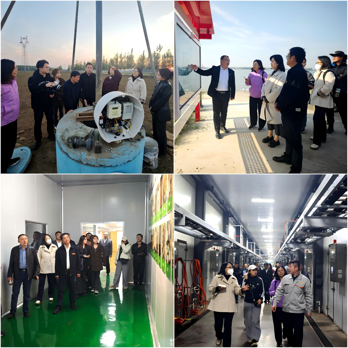 wps拼图0 wps拼图0