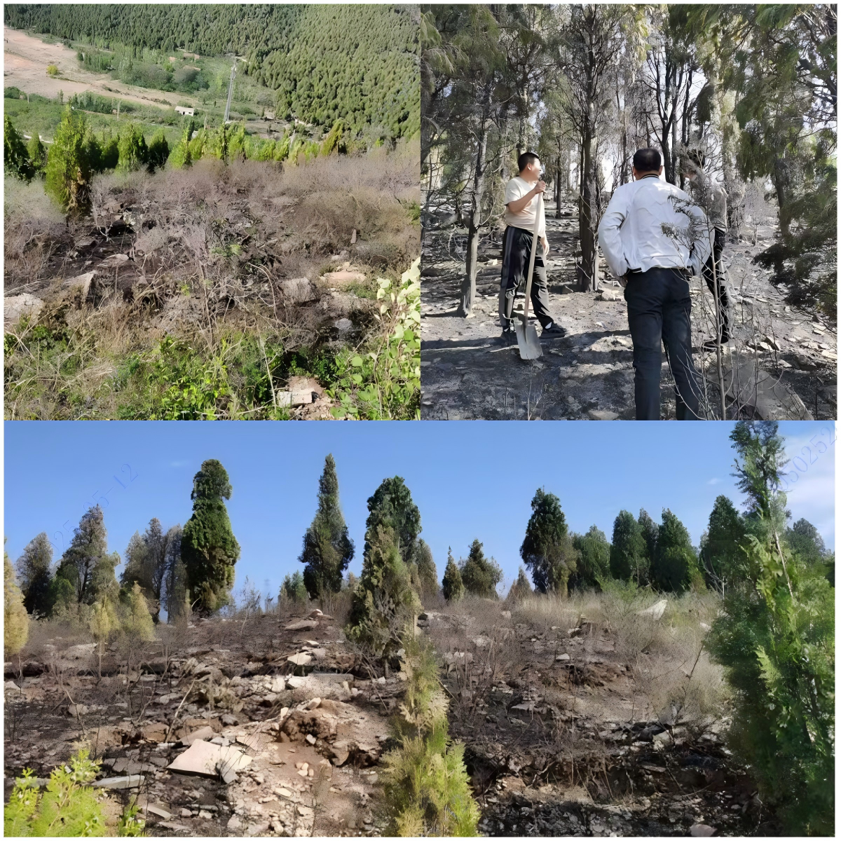 wps拼图0 wps拼图0