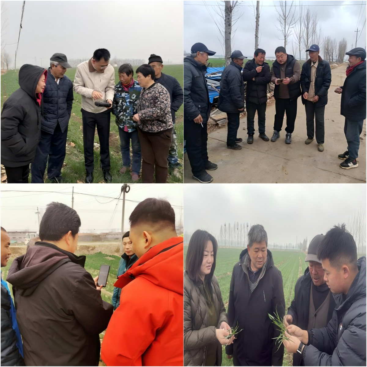 wps拼图0 wps拼图0