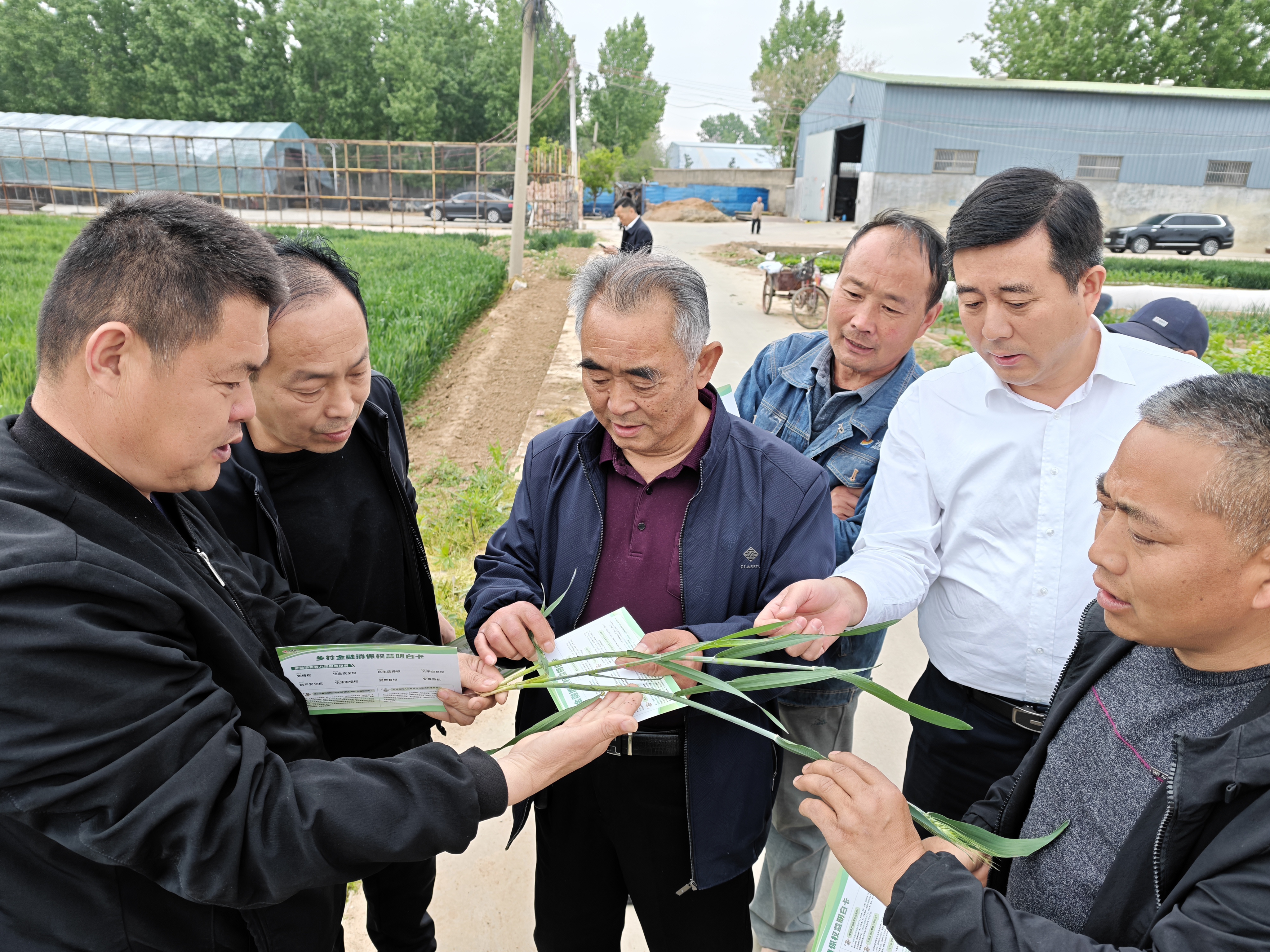 微信图片_20260416160313_51_1381