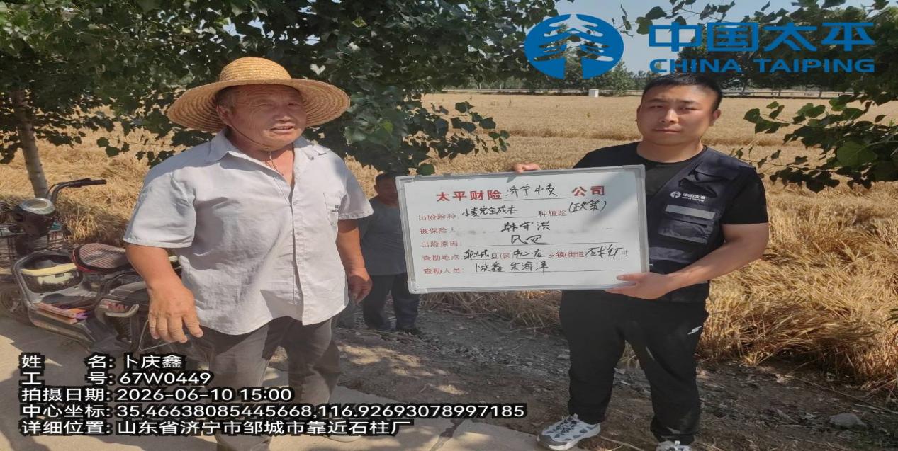 图片4
