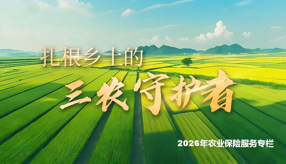 保险赋能三农 护航乡村振兴